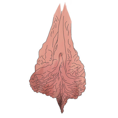WUKA X JO CORRALL - Your Vulva